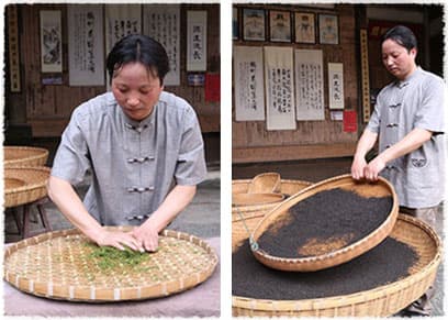 Tea Farmer Mr. Wang