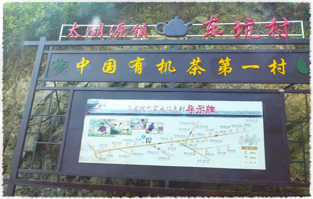 first village of organic tea