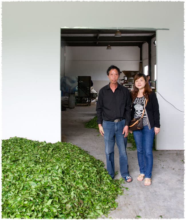 Tea Farmer Mr. Lin