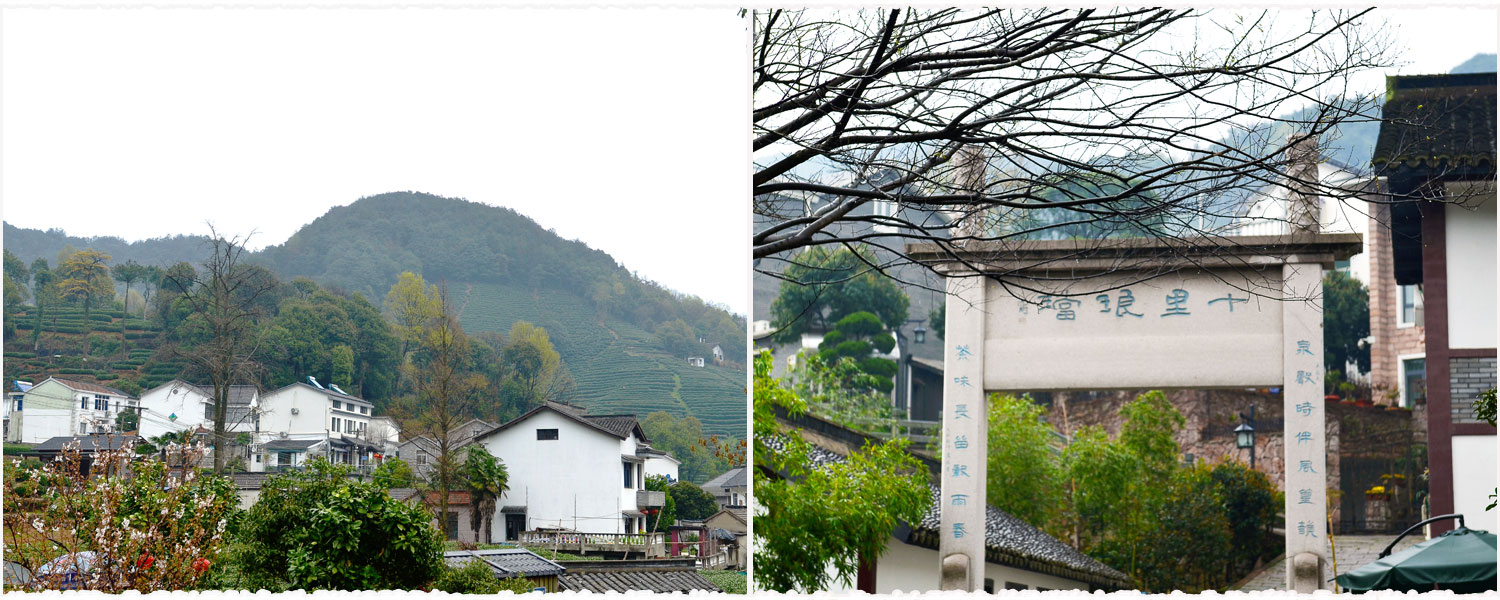 Views in Longjing Village