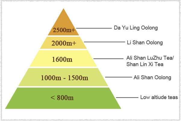 Taiwan High Mountain Tea