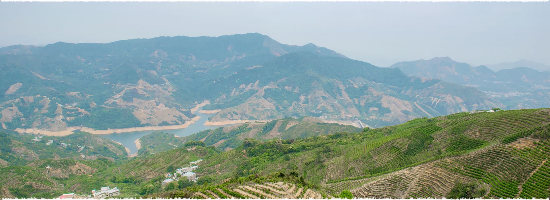 Ping Keng Tou Tea Garden