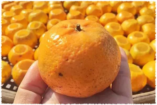 big oranges