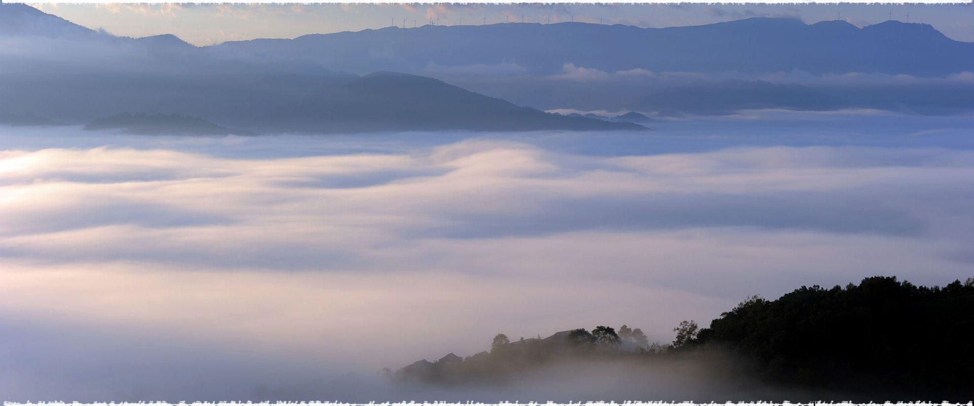 Jingmai Mountain Ancient Tea Area