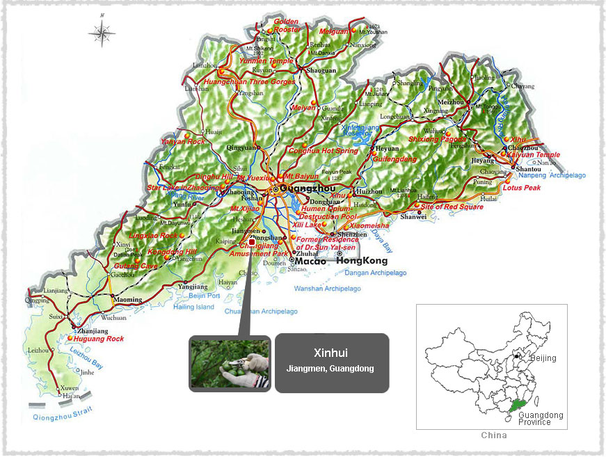 map of puerh