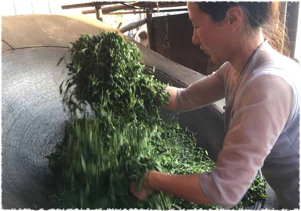 Tea Farmer Xiao Yu