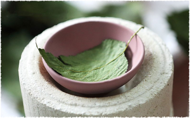 Jianzhan with tea leaf