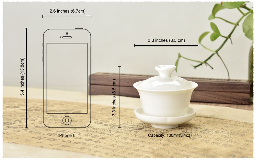 Gaiwan Dimensions 100ml