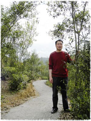 Tea farmer Mr. Lin