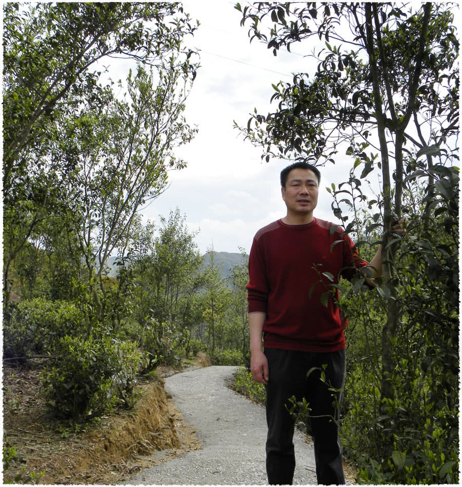 Tea farmer Mr. Lin